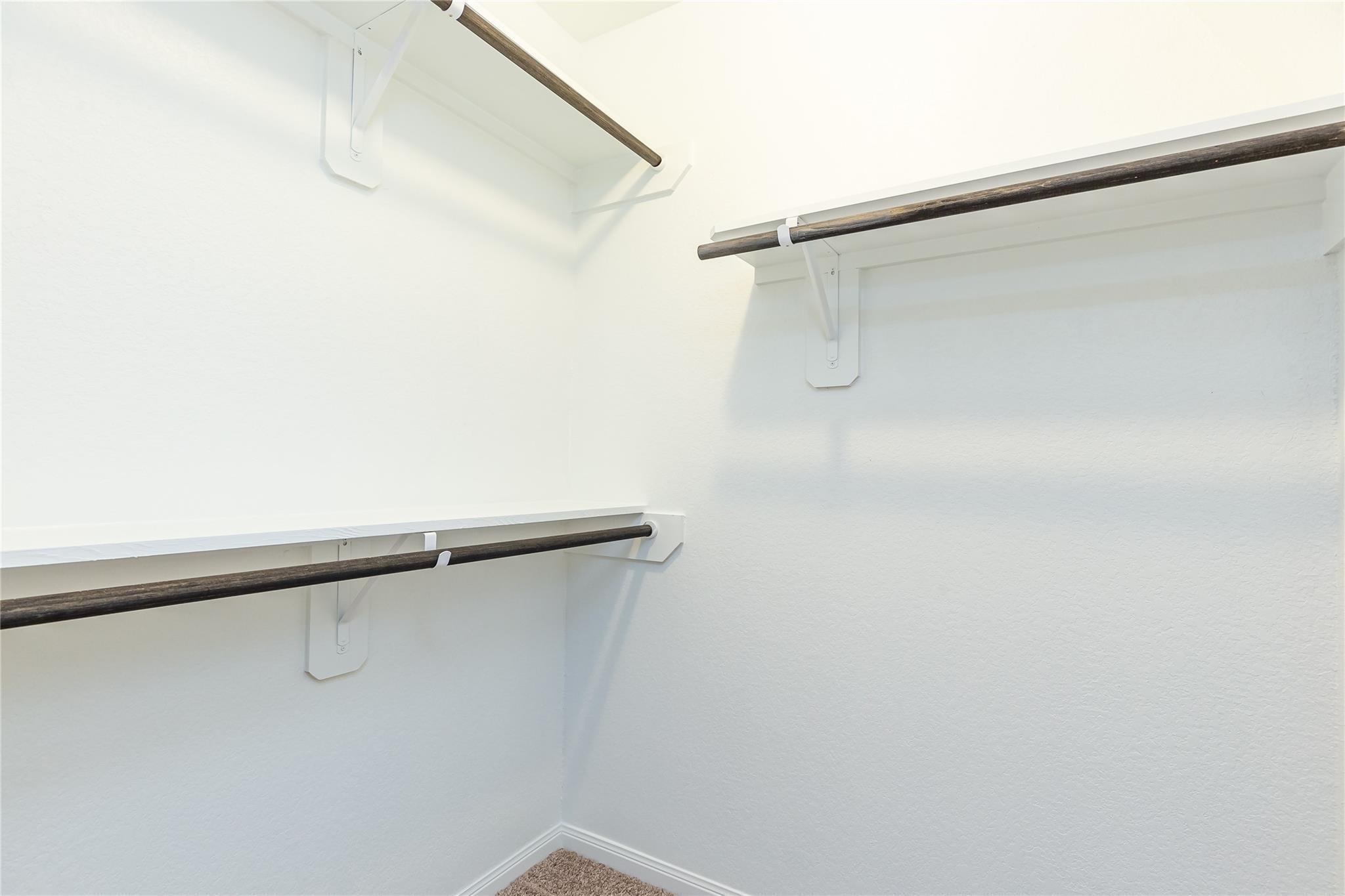 24630 Bastiani Canvas Lane