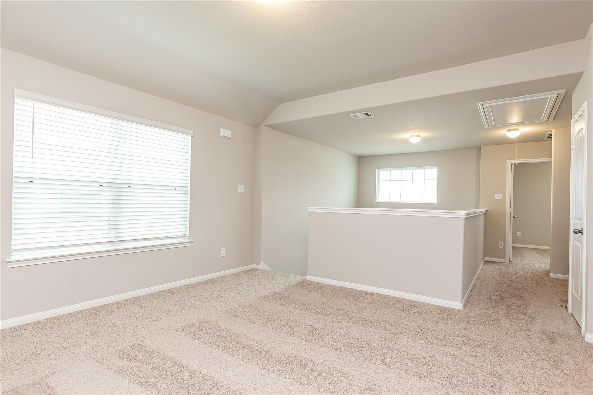 24630 Bastiani Canvas Lane