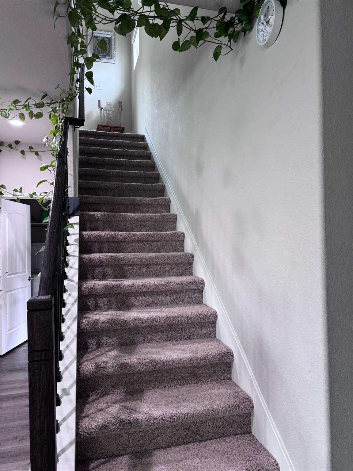 24718 Bastiani Canvas Lane