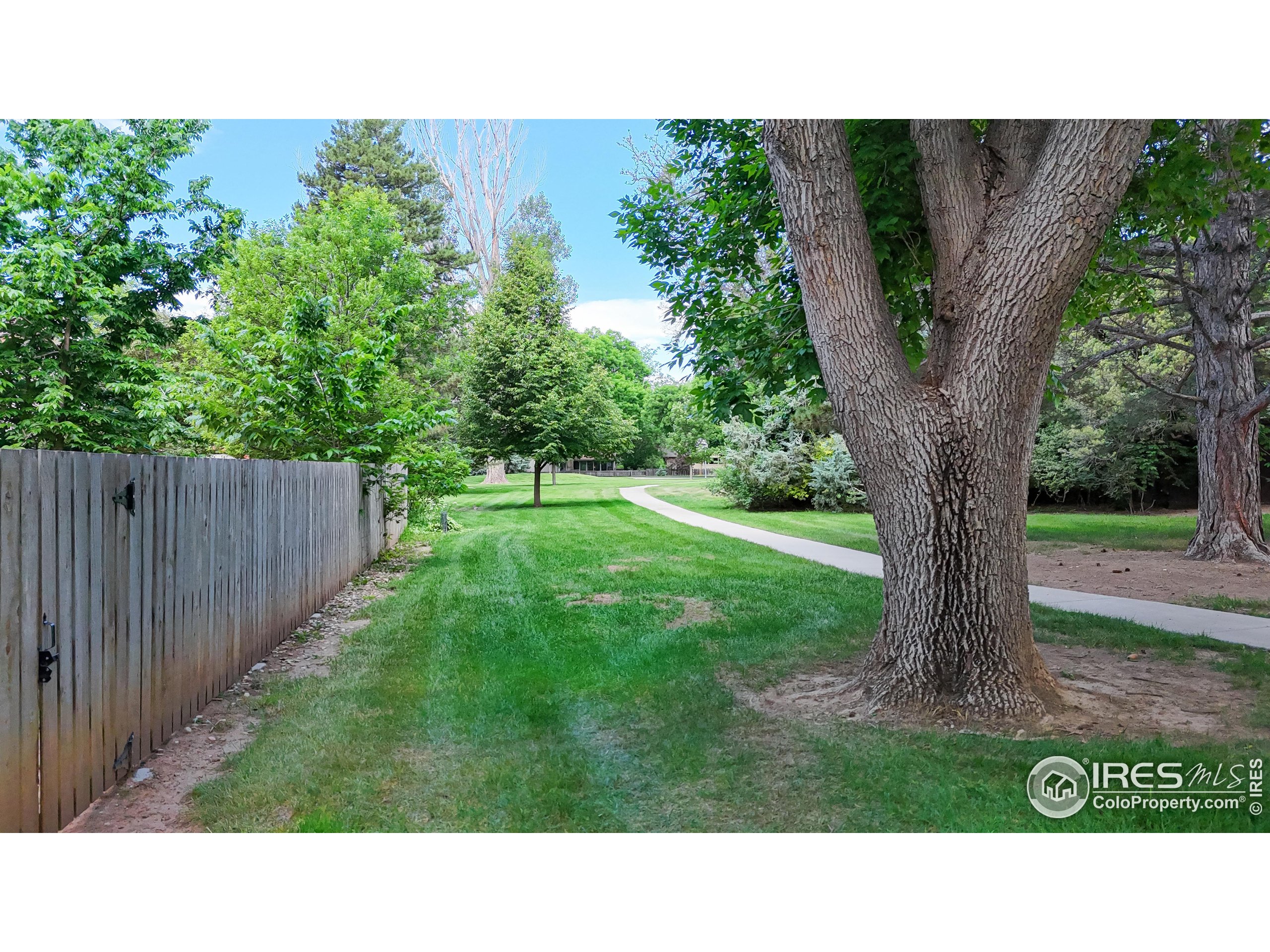 1706 Lakeshore Dr
