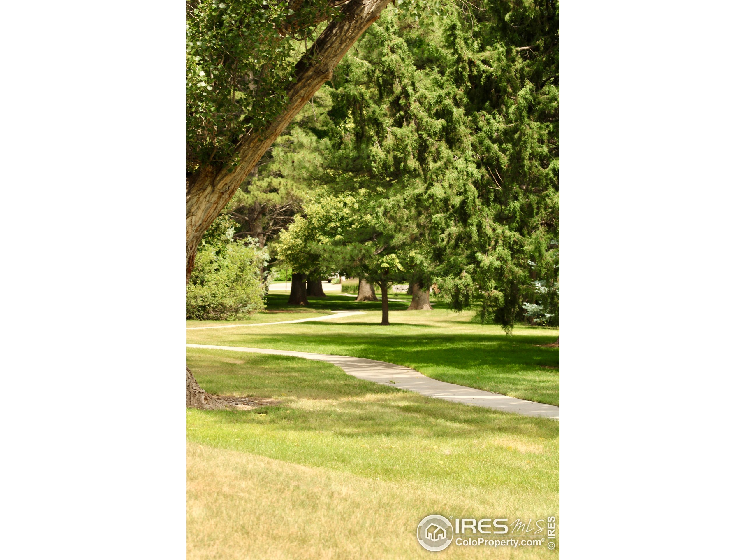 1706 Lakeshore Dr