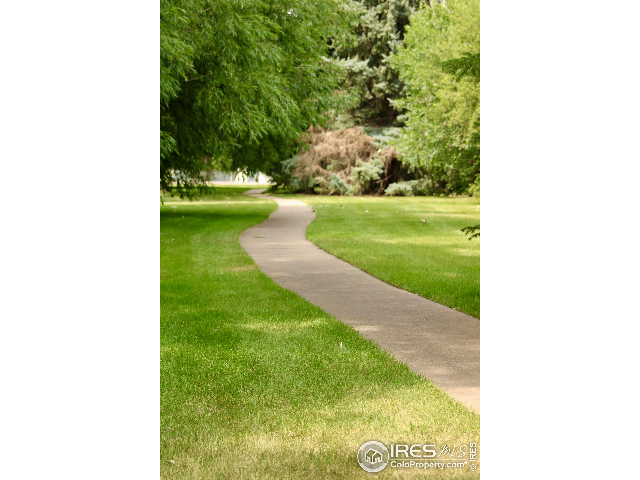 1706 Lakeshore Dr
