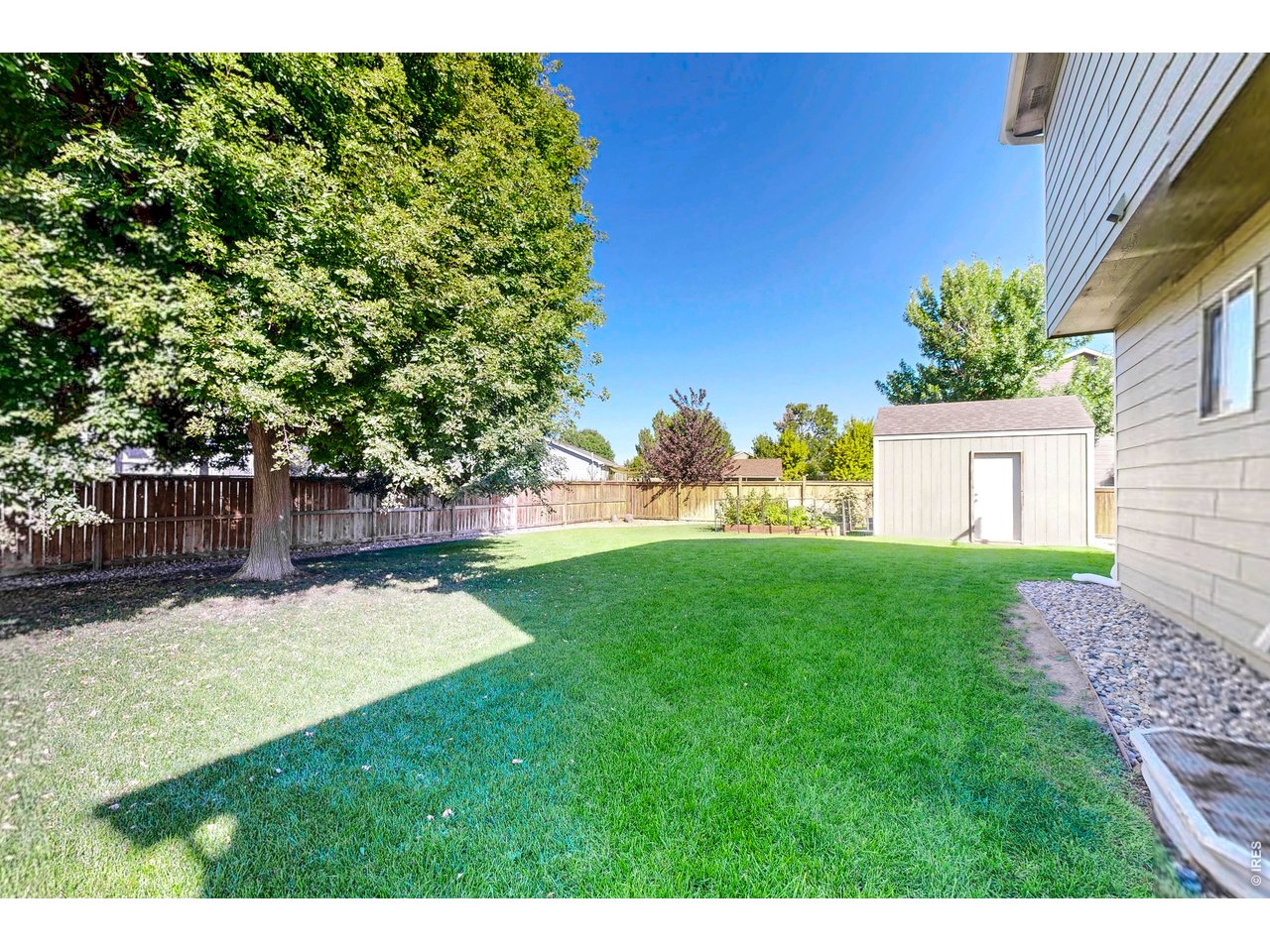 Fenced backyard with a broad lawn, mature shade tree, and detached shed.