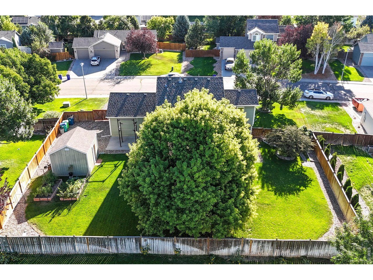 Aerial backyard with a large shade tree, green lawn, raised garden beds, and storage shed.