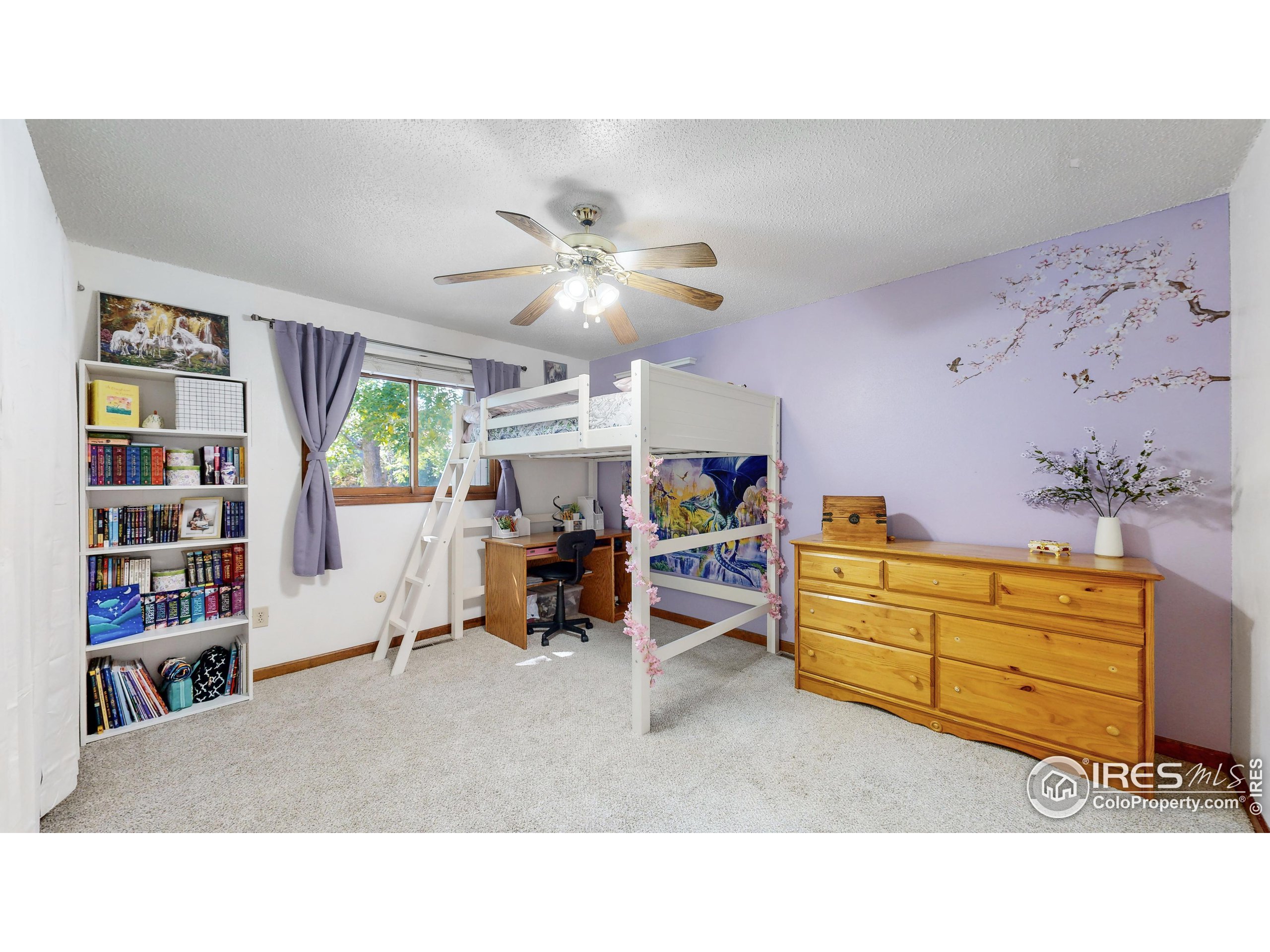 5331 Fossil Ridge Dr