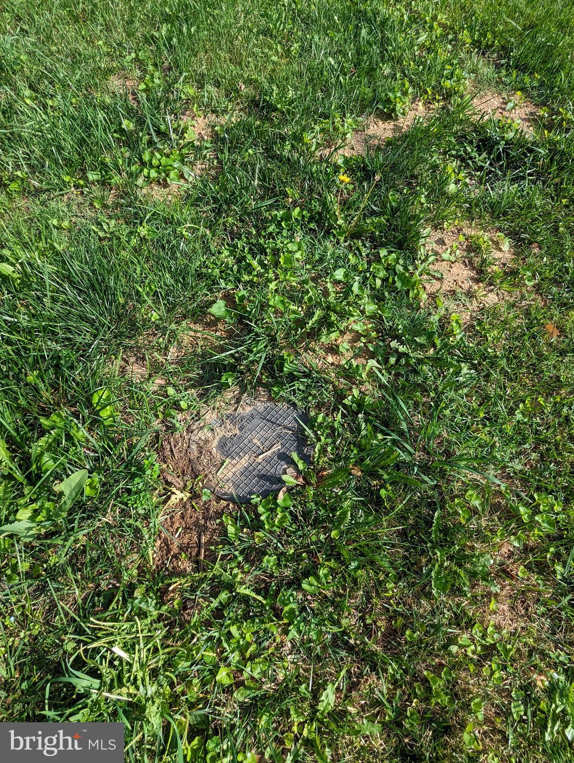 650 OLD WAUGH CHAPEL ROAD