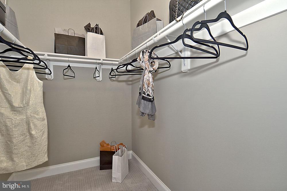 12221 Molly Berry Rd