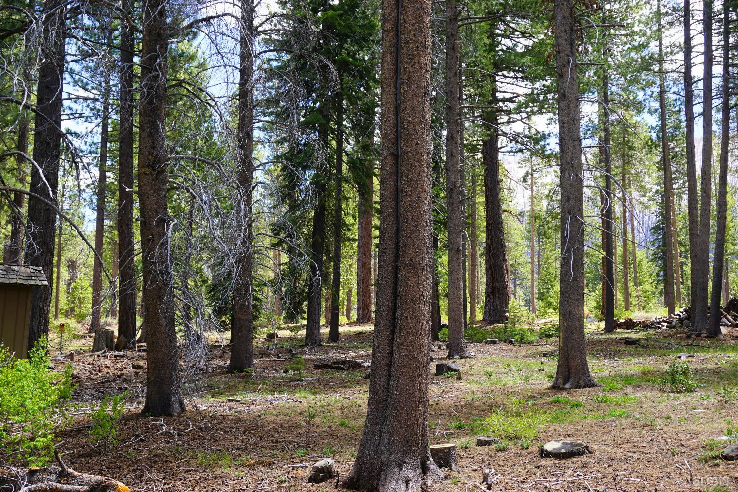 1548 Iroquois Circle