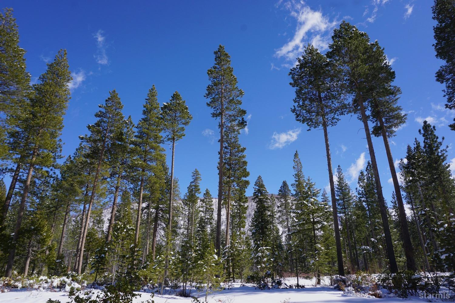 1548 Iroquois Circle