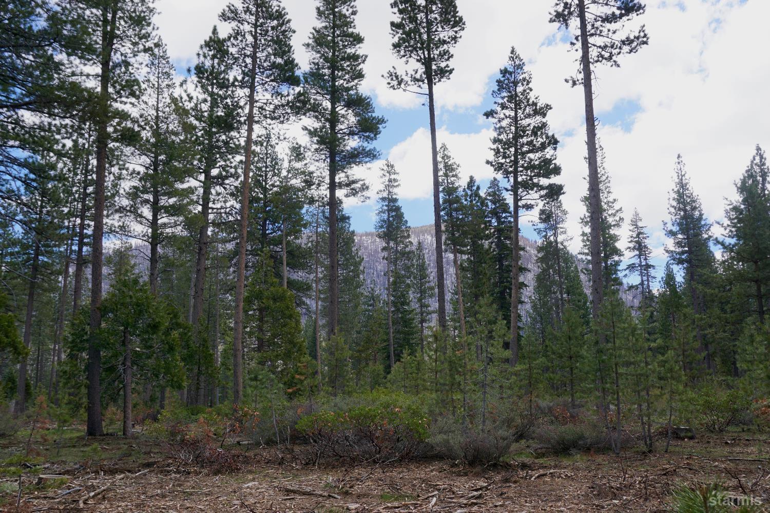 1548 Iroquois Circle