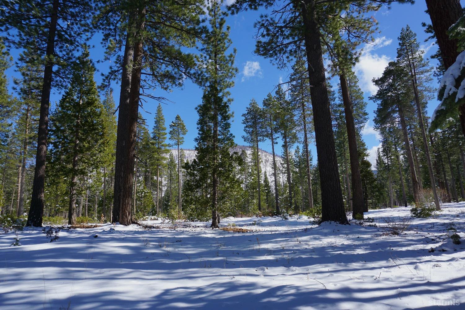 1548 Iroquois Circle