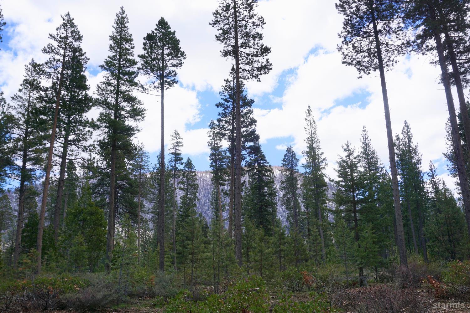 1548 Iroquois Circle