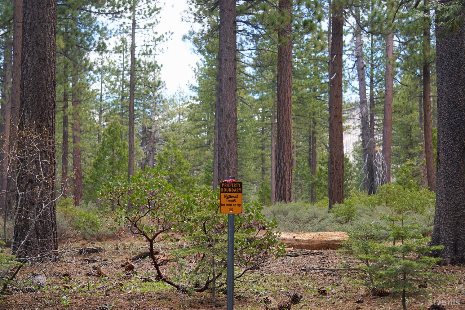 1548 Iroquois Circle