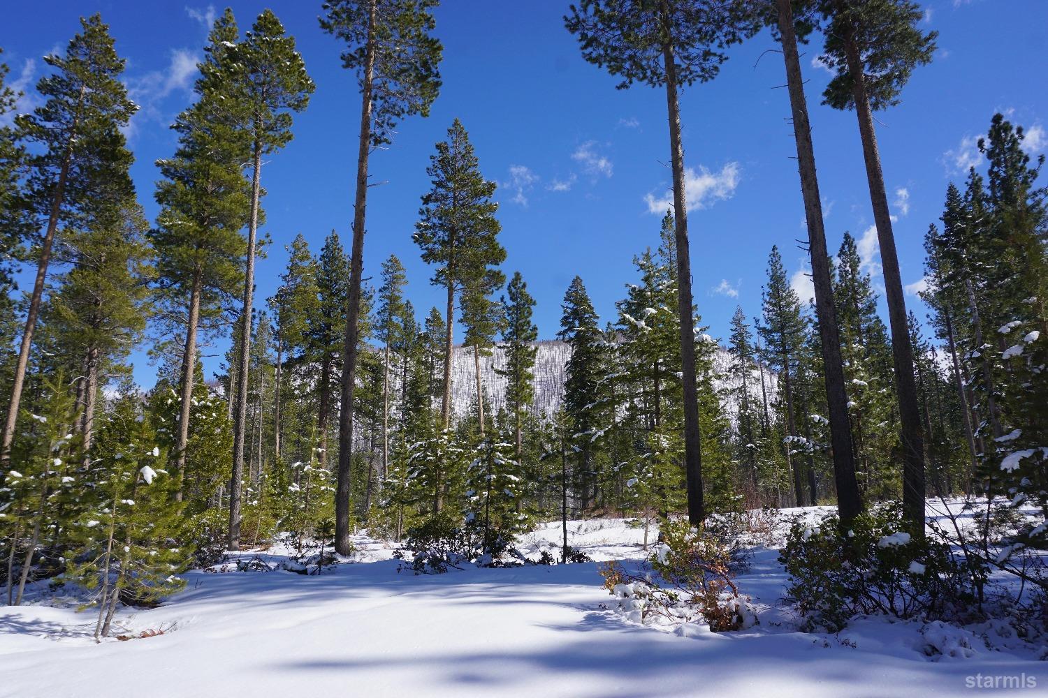 1548 Iroquois Circle