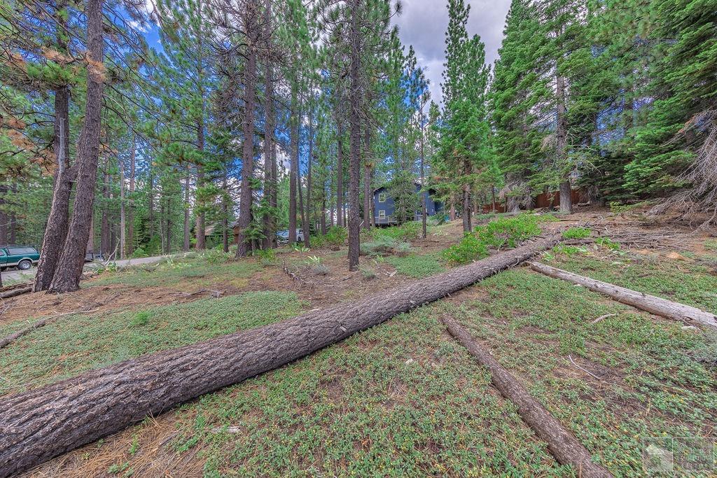 1801 Meadow Vale Drive