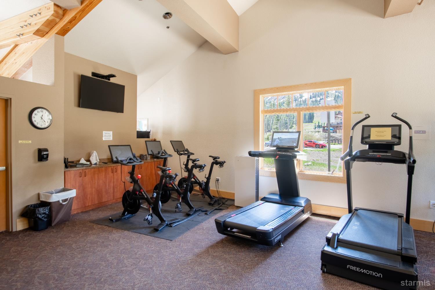 1120 Kirkwood Meadows Drive Unit: 217