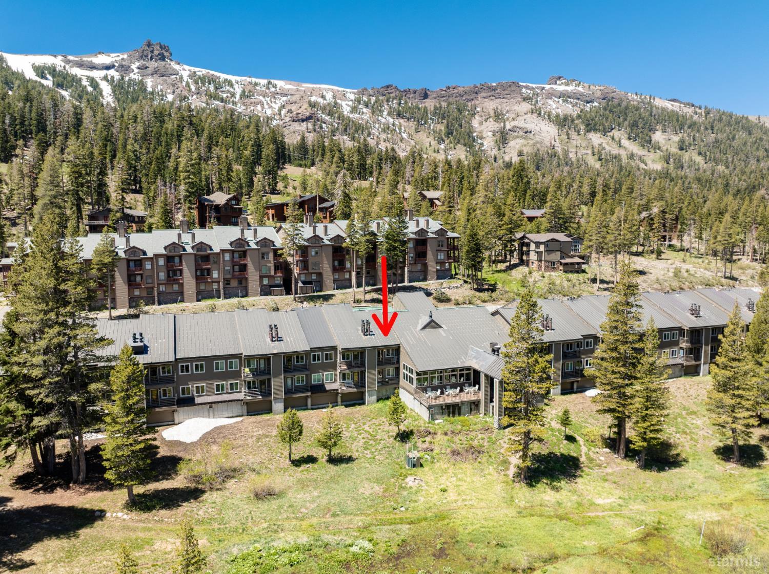 1120 Kirkwood Meadows Drive Unit: 217