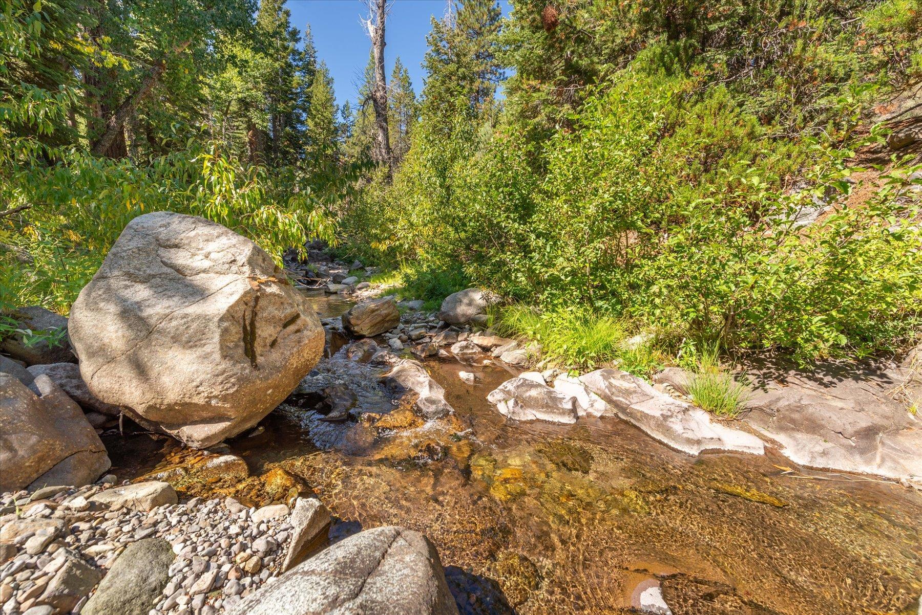 1334 Mineral Springs Trail