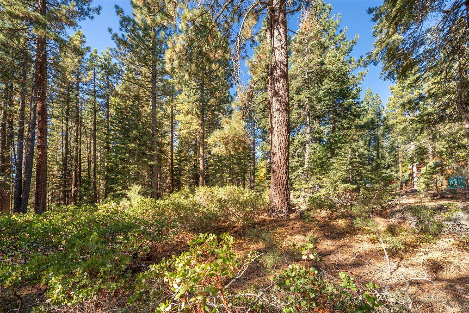 3303 Polaris Road