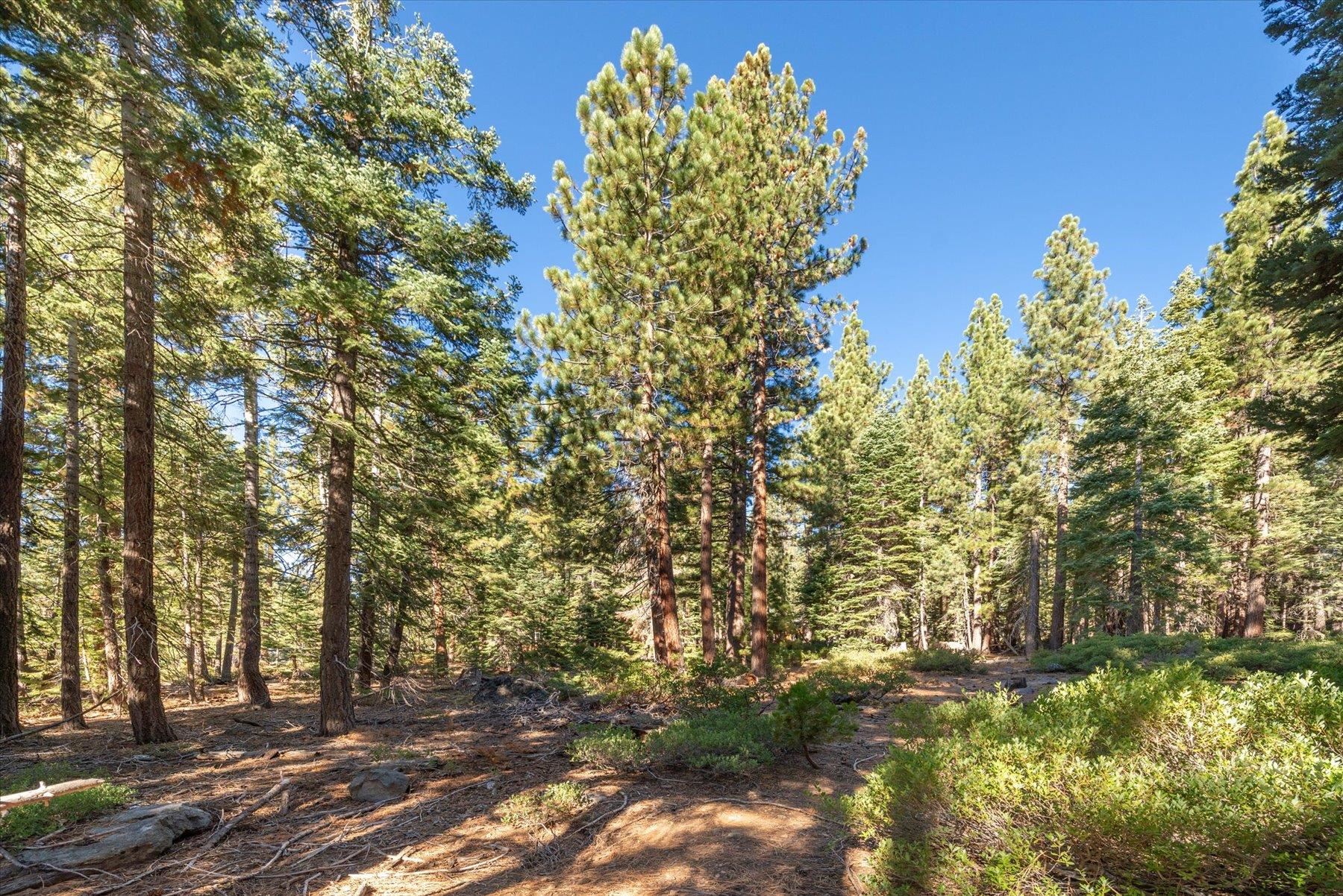 3303 Polaris Road