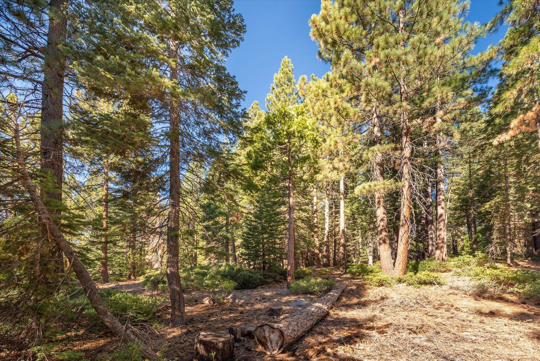 3303 Polaris Road