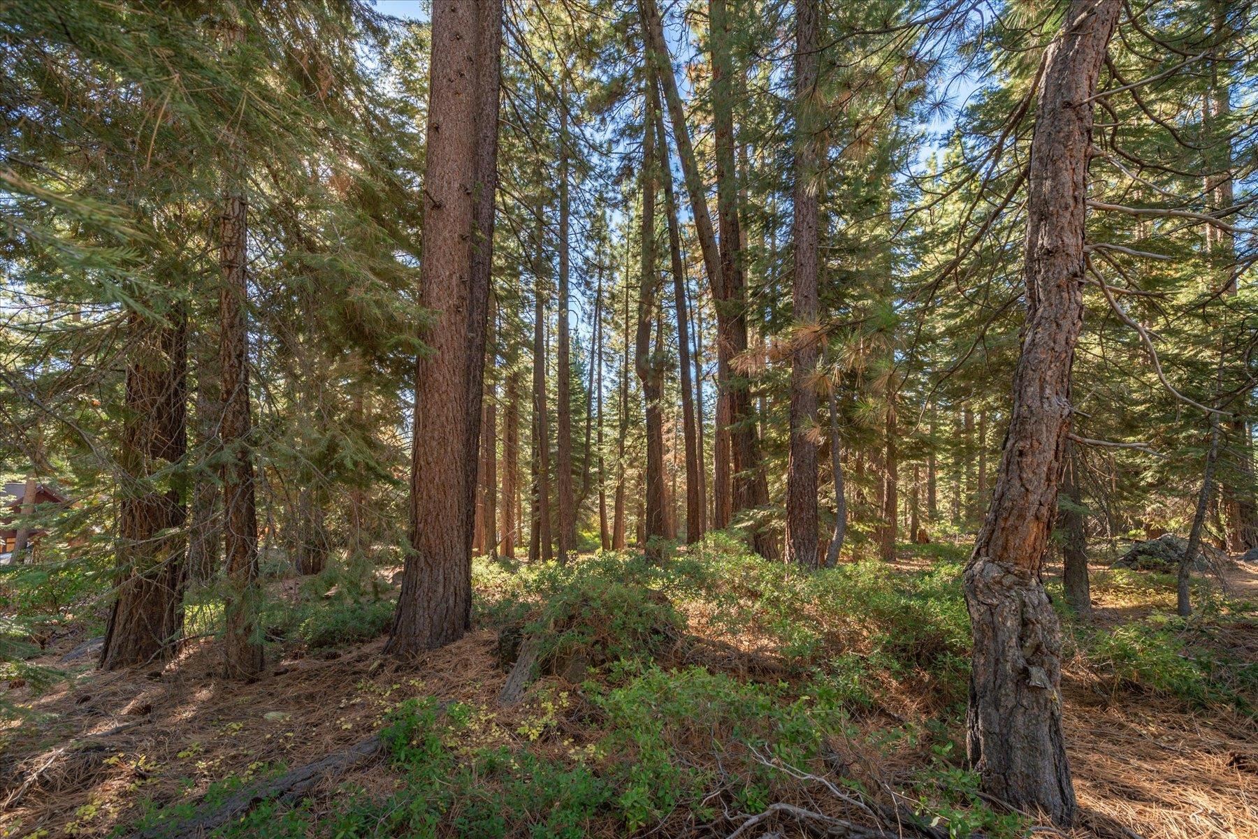 3303 Polaris Road
