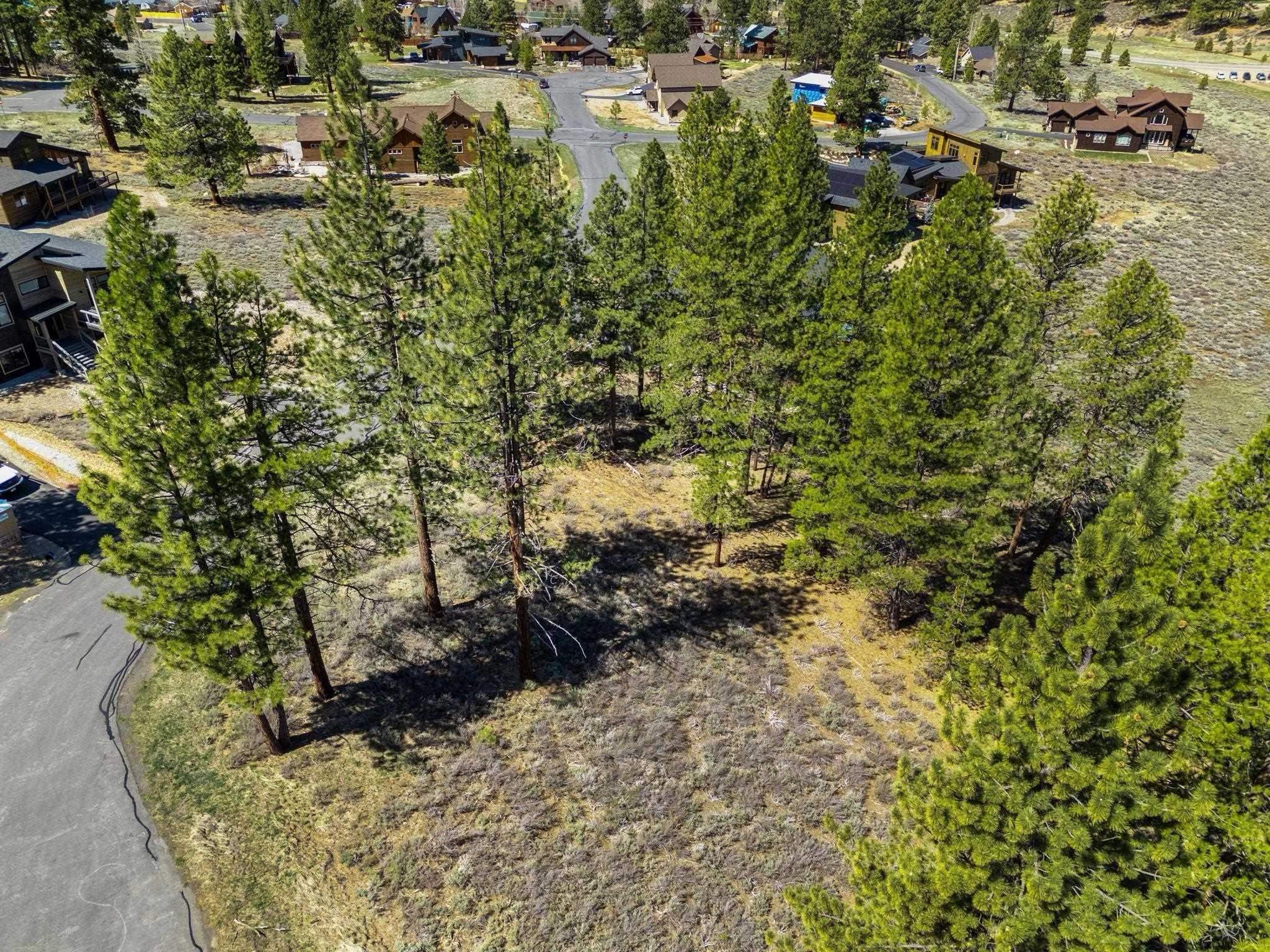 10668 Winchester Court