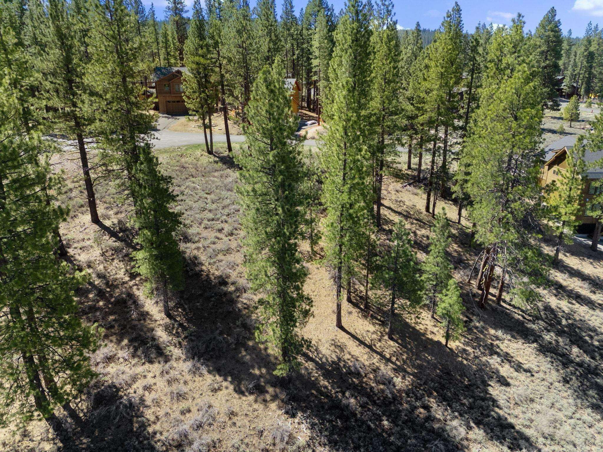 10668 Winchester Court