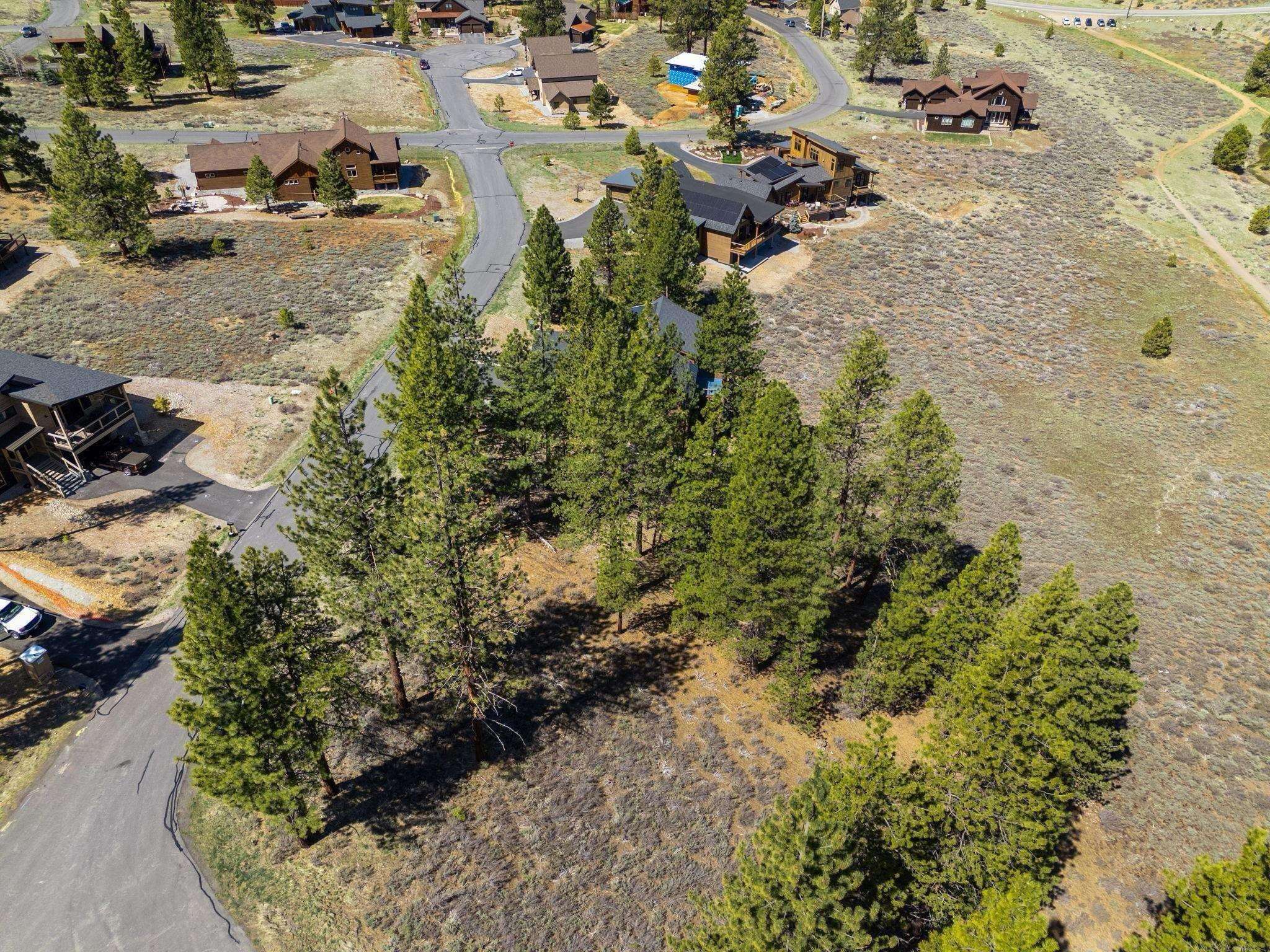 10668 Winchester Court