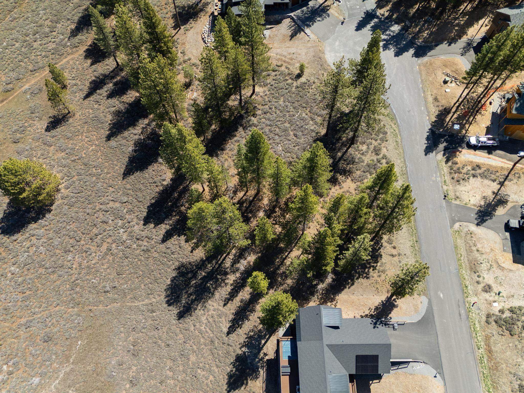 10668 Winchester Court