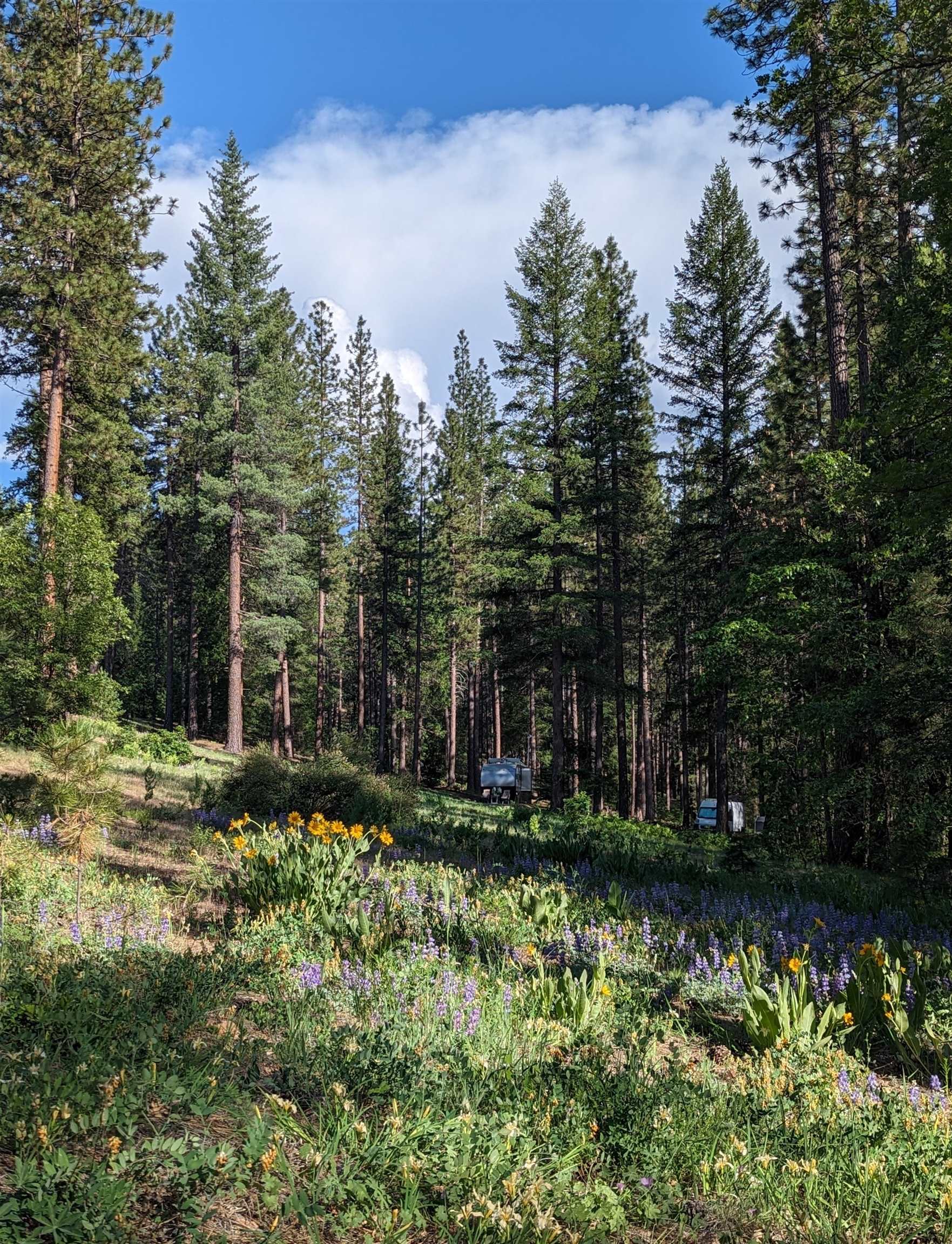 5738 Chandler Road