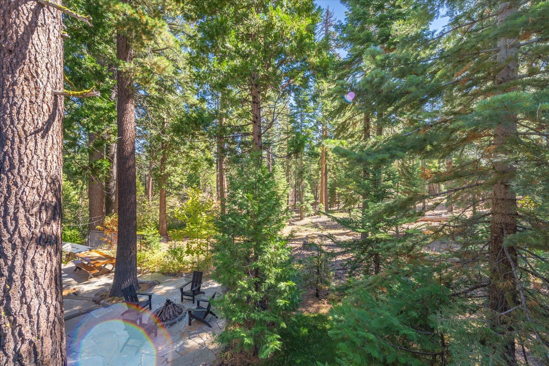 203 Quiet Walk Road