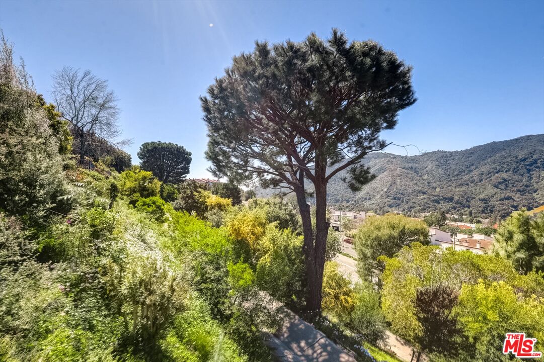 17212 Avenida De La Herradura