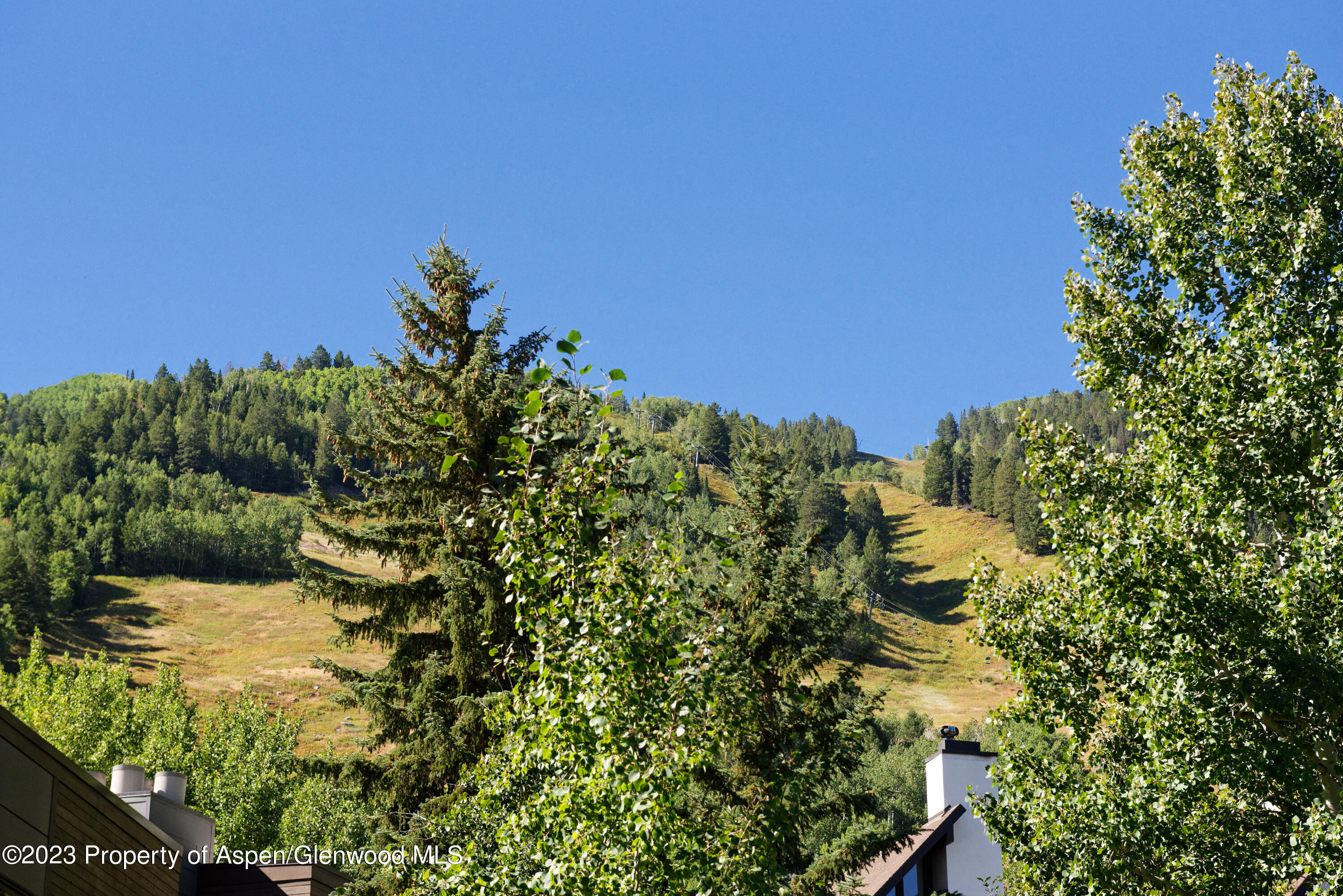 728 S Galena Street B201