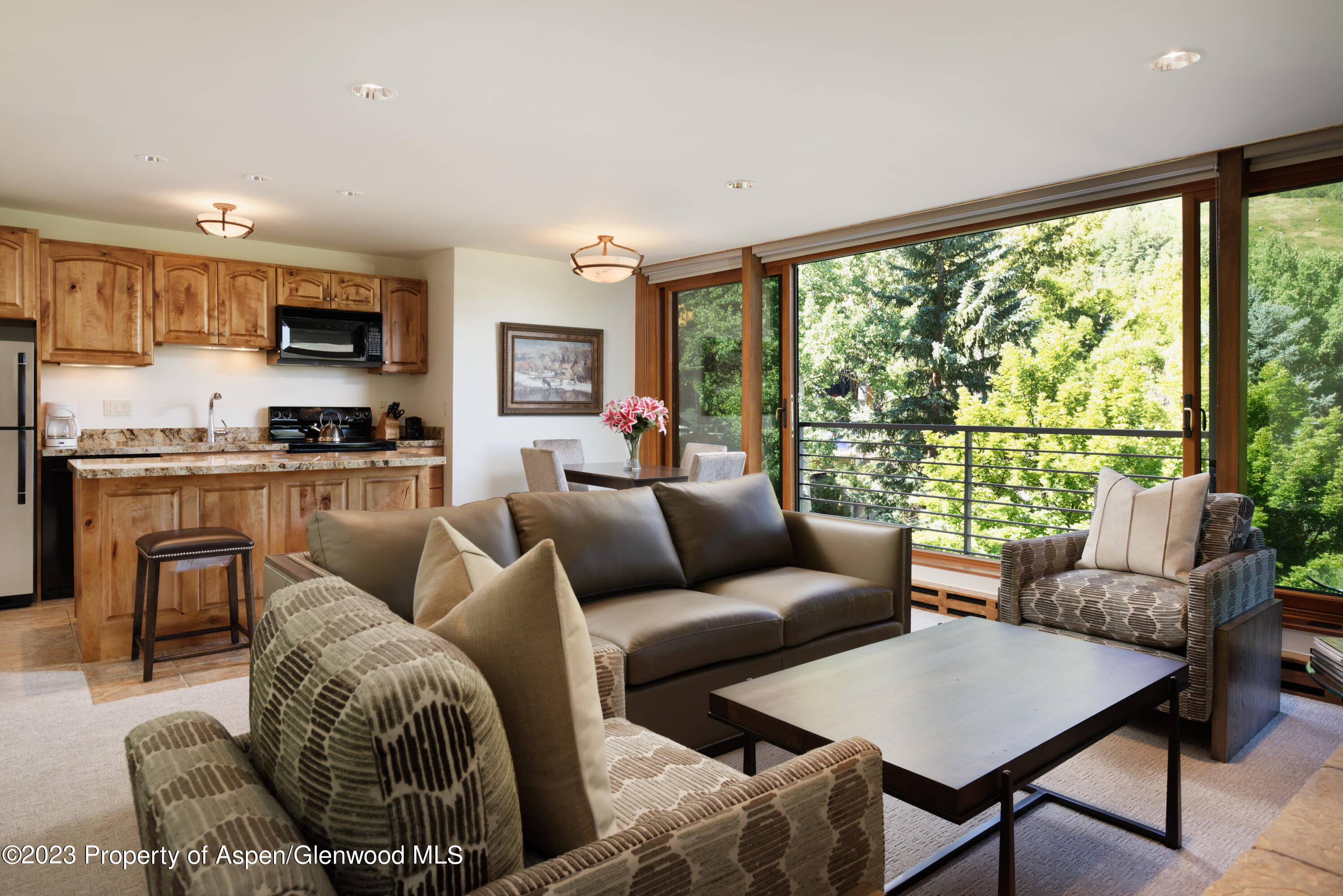 728 S Galena Street B201