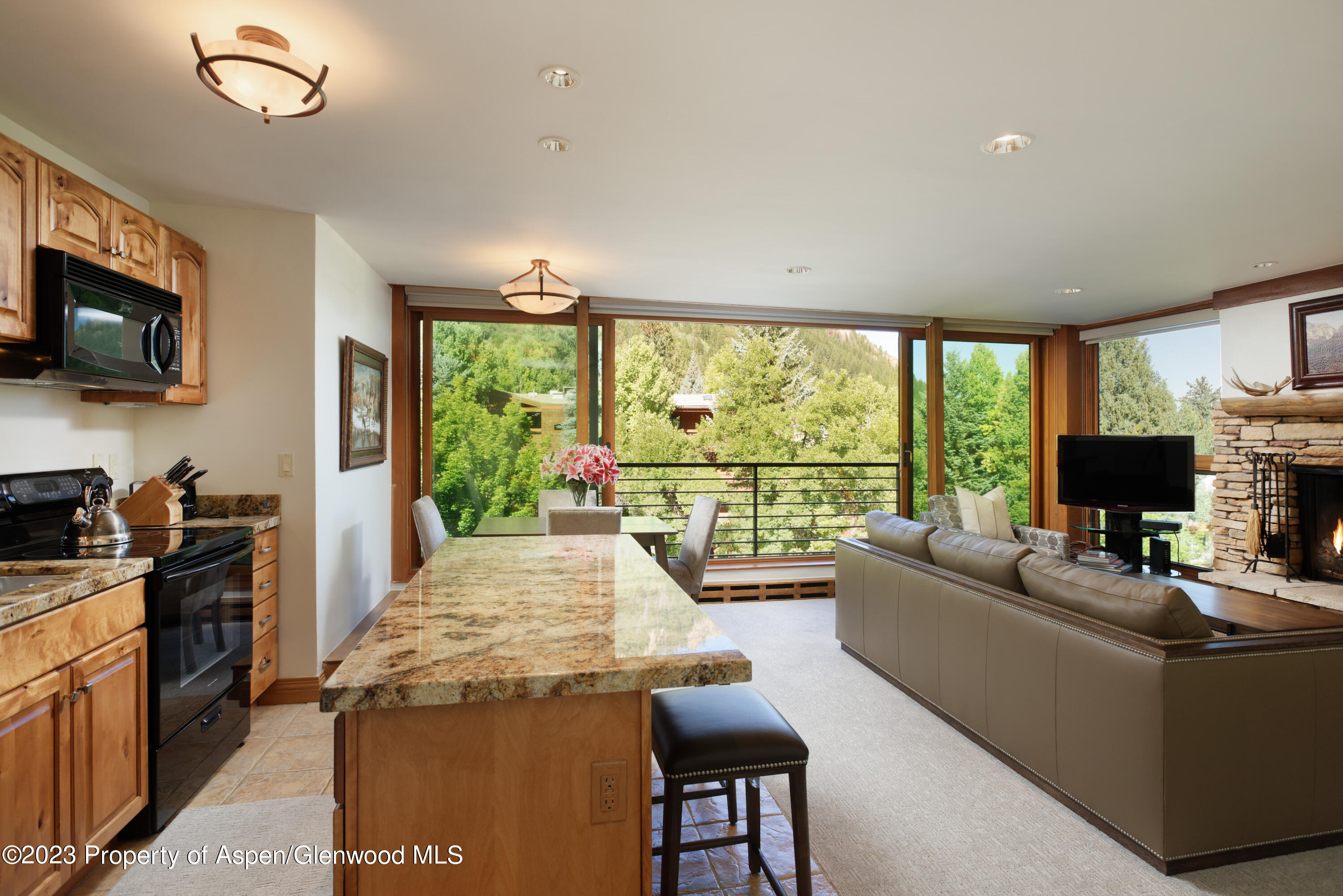 728 S Galena Street B201