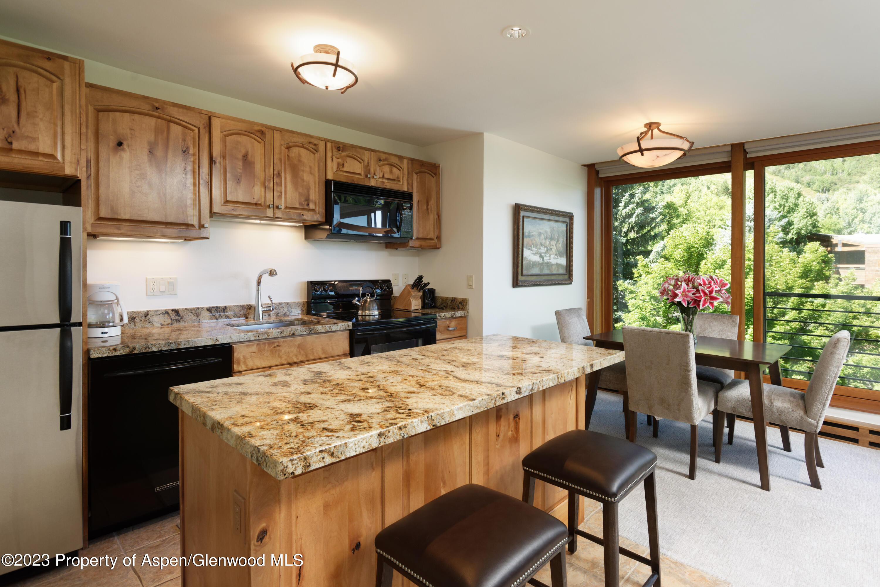 728 S Galena Street B201