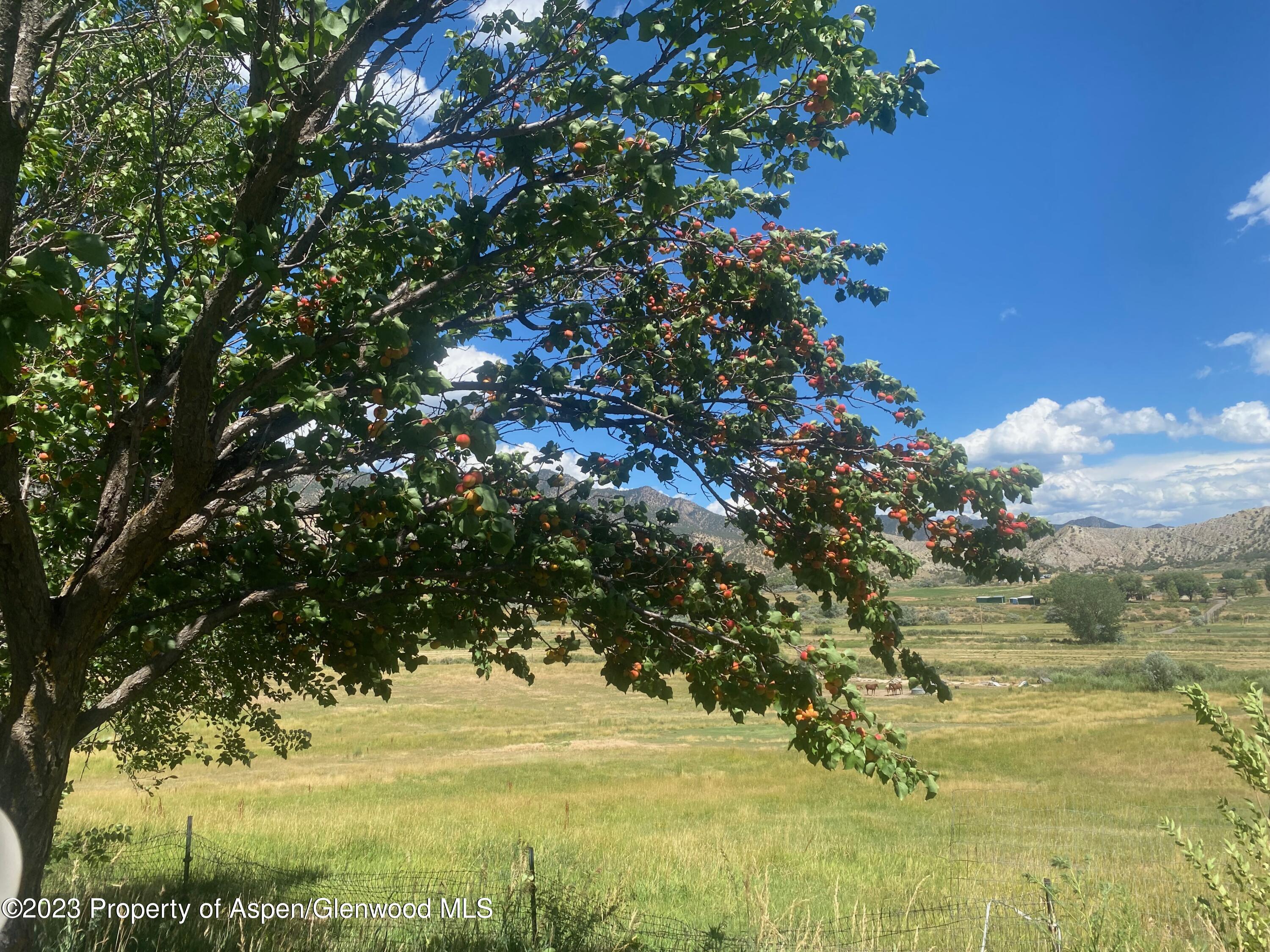 213 259A COUNTY Road