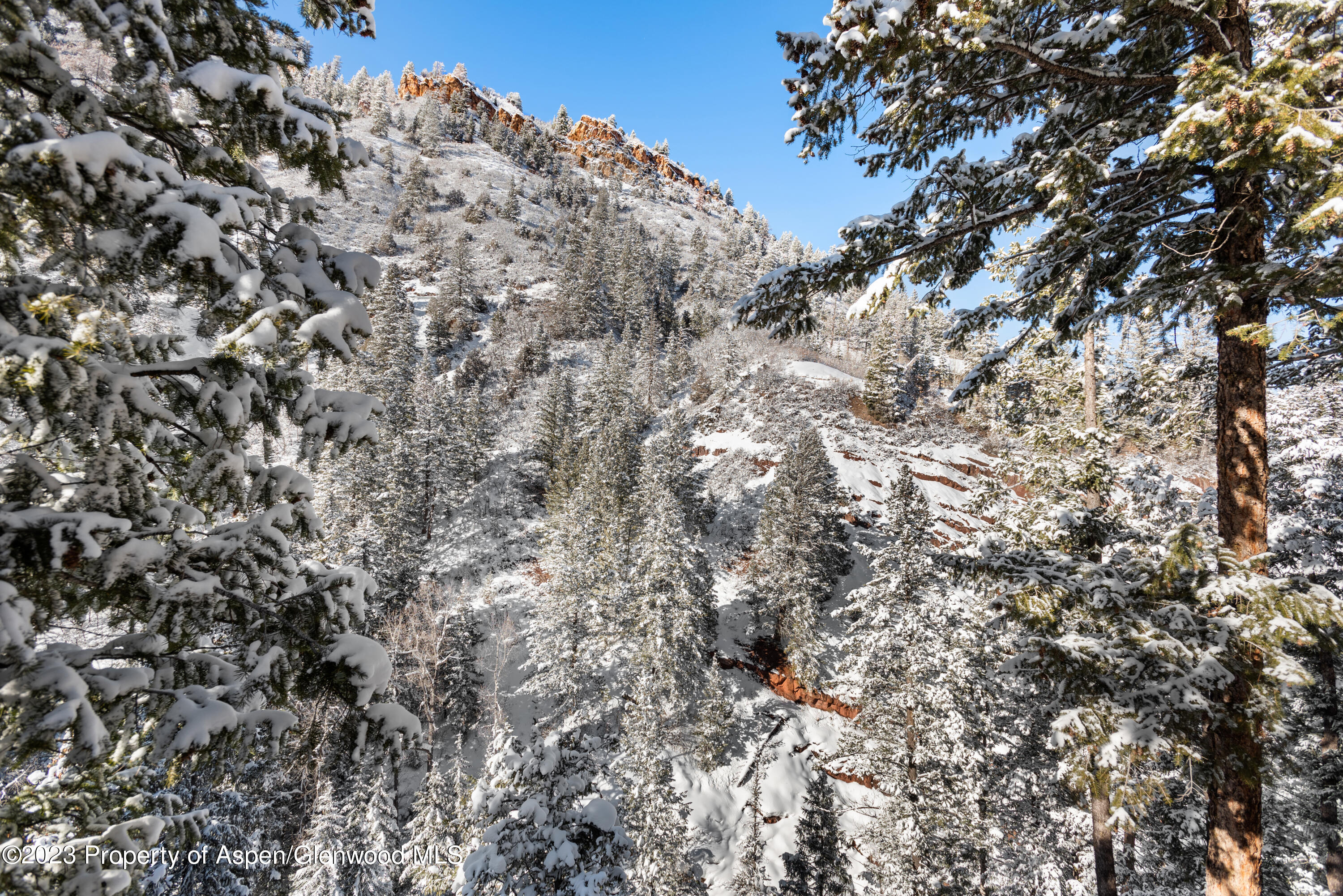 1501 Maroon Creek Road, #5