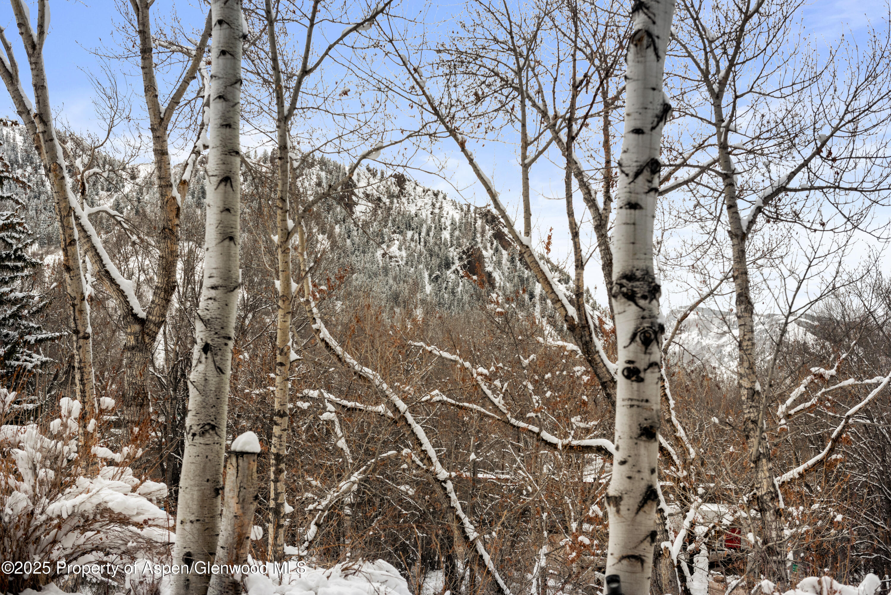 155 Lone Pine Road 5