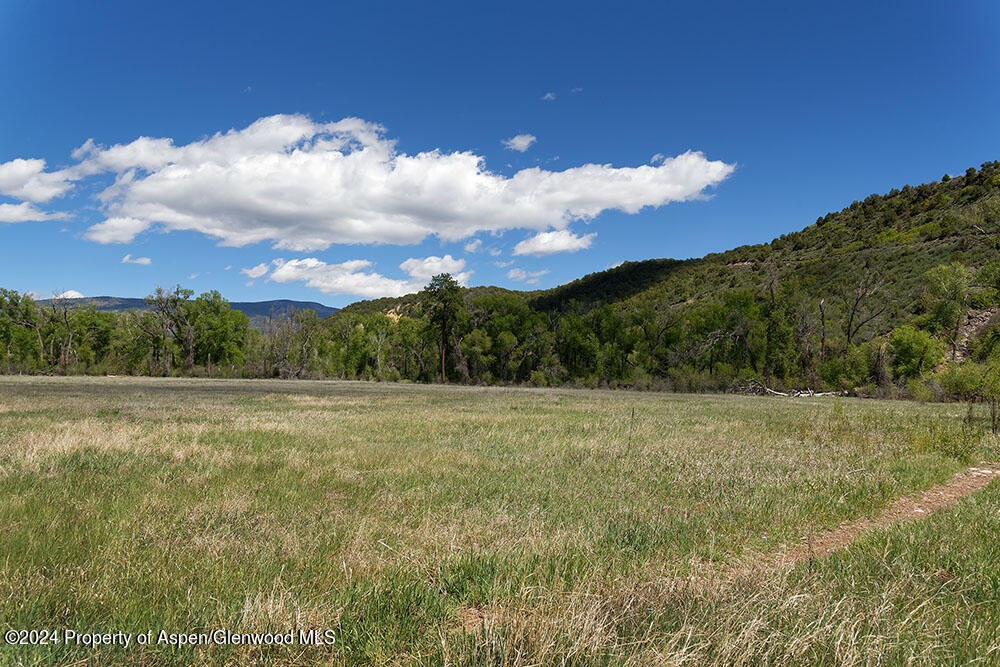 20 Choke Cherry Court