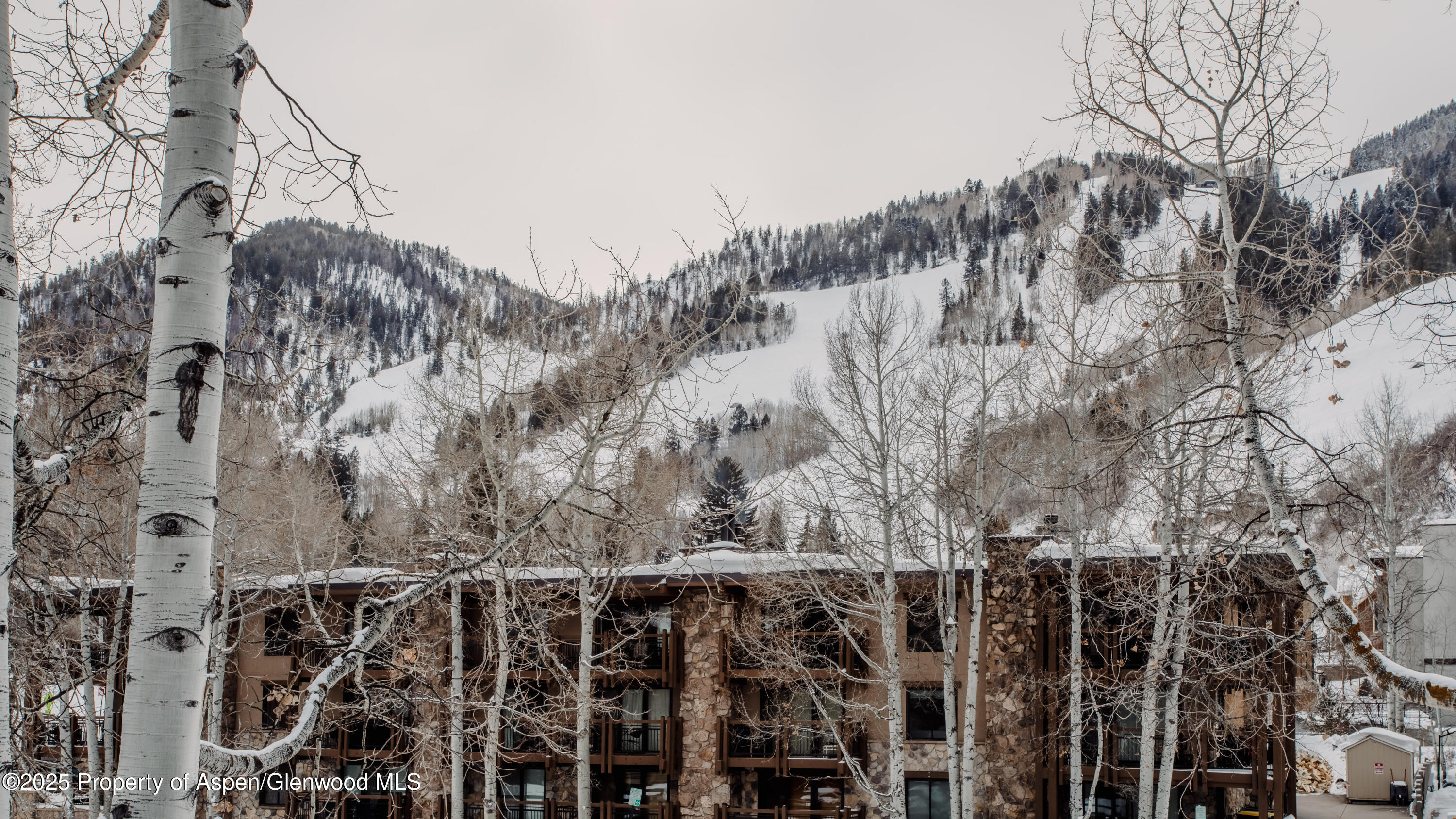 124 E Durant Avenue, 6