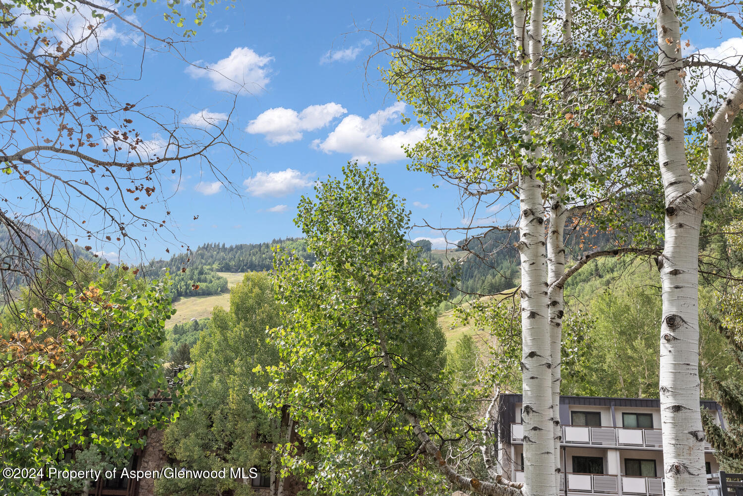 124 E Durant Avenue, 6