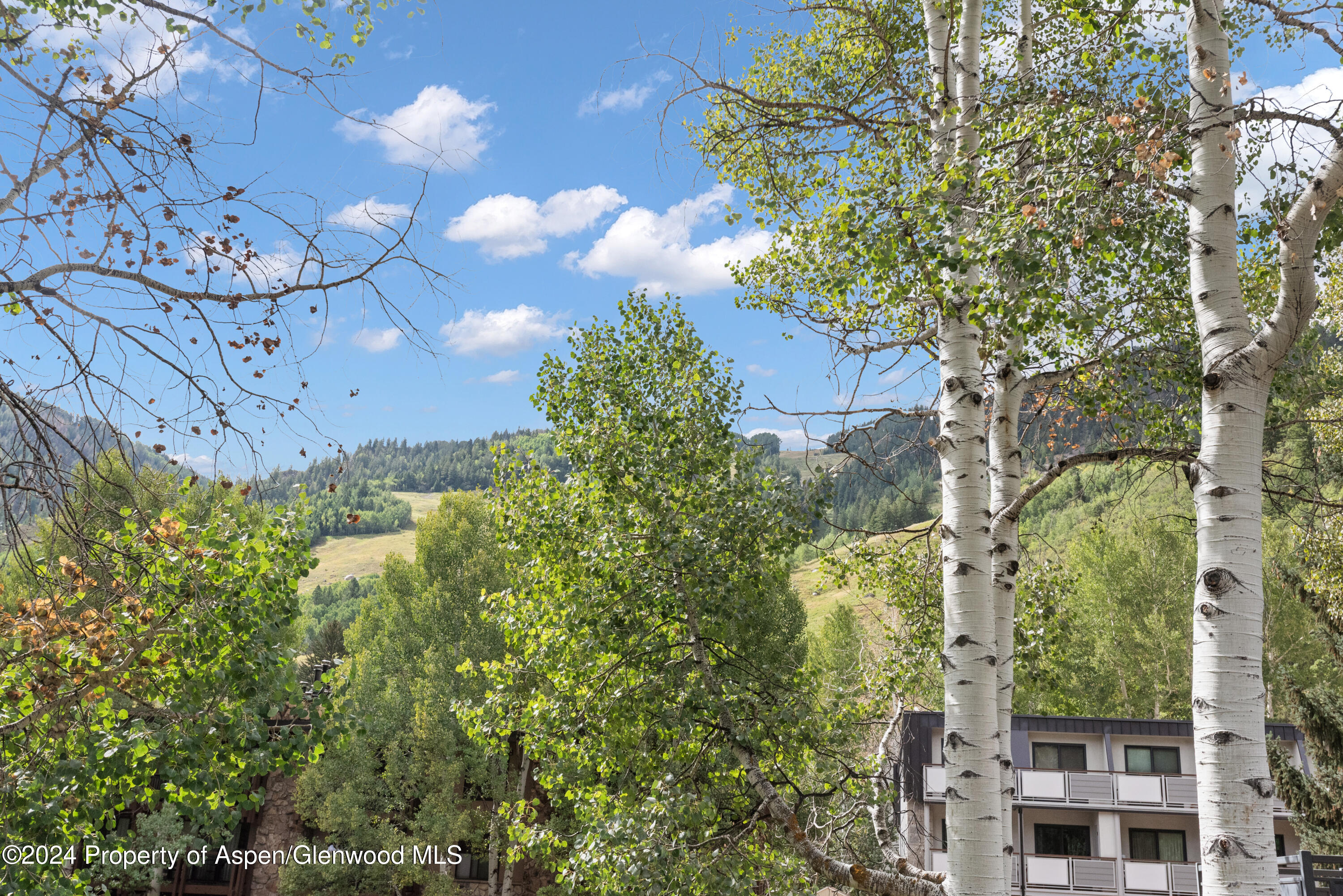 124 E Durant Avenue, 6