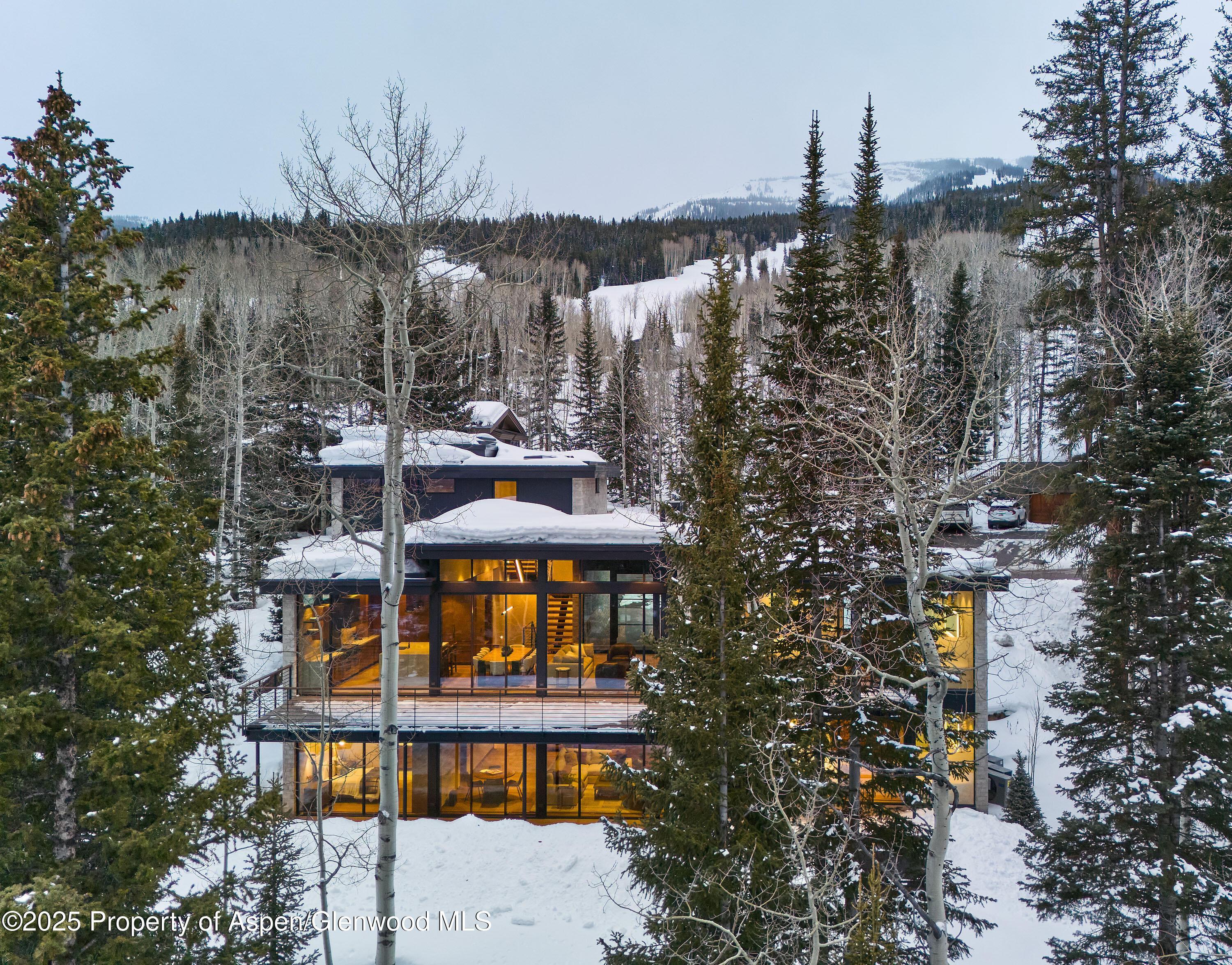 99 Forest Lane