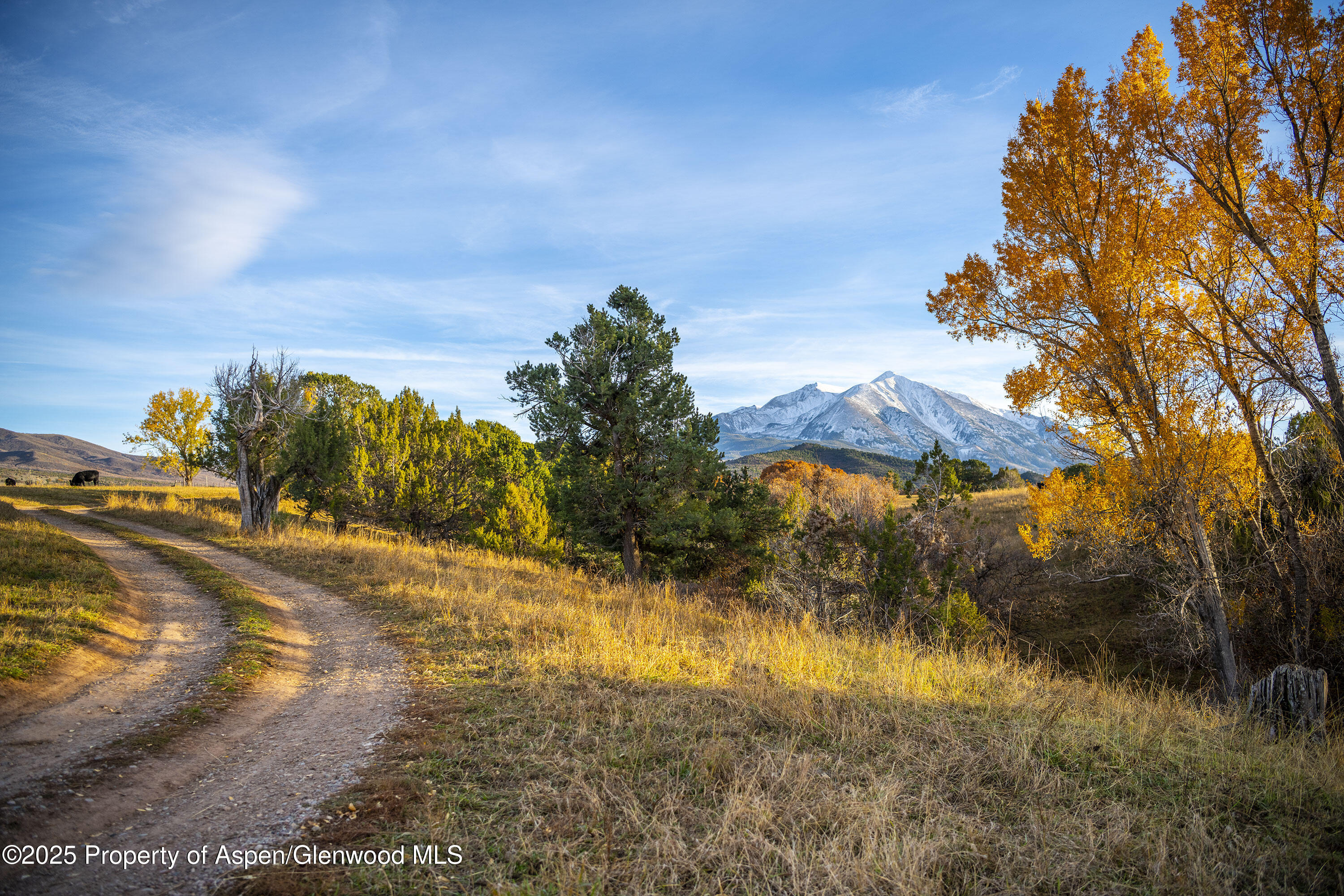 1634 Prince Creek Road