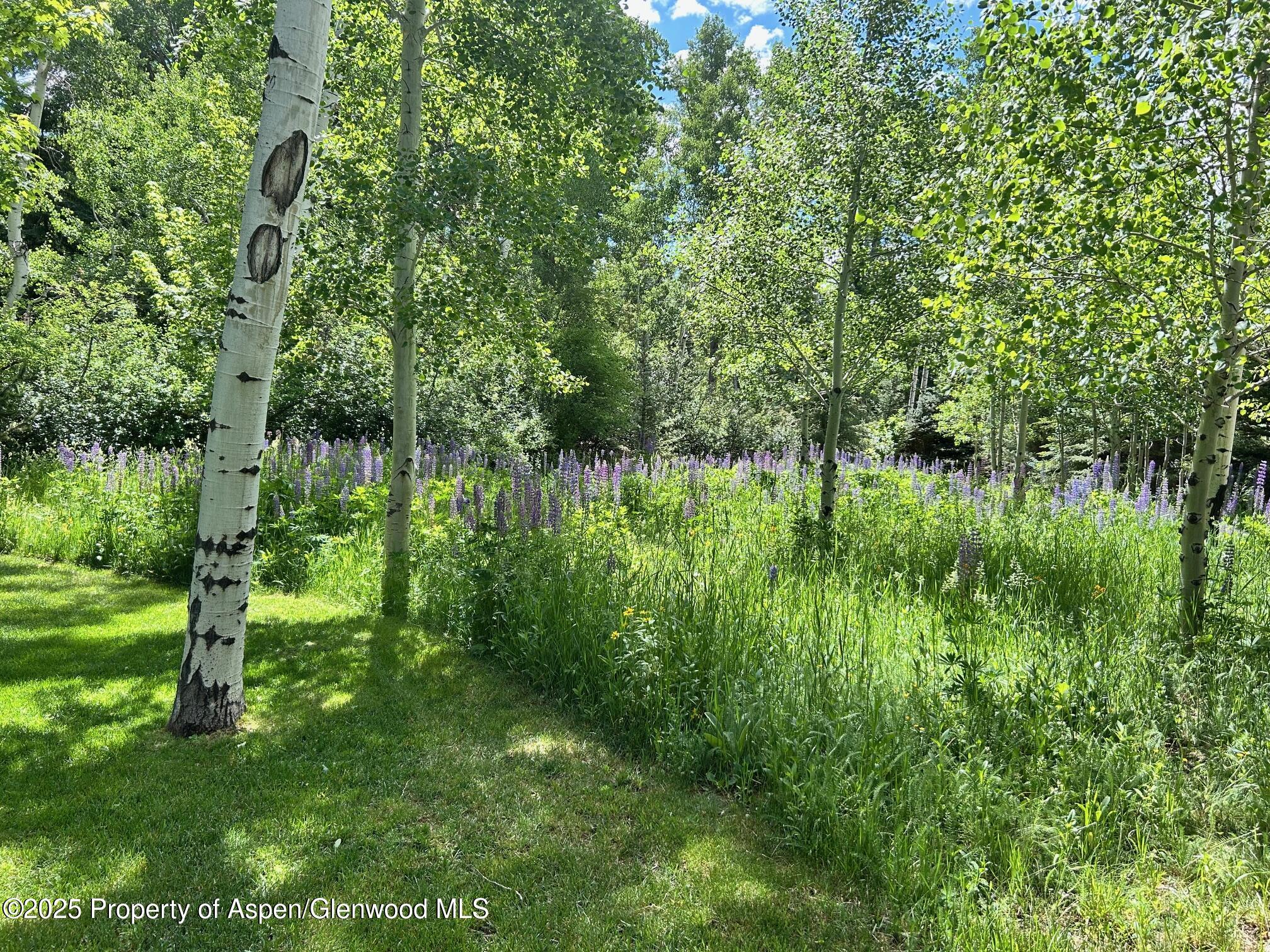 1180 Black Birch Drive