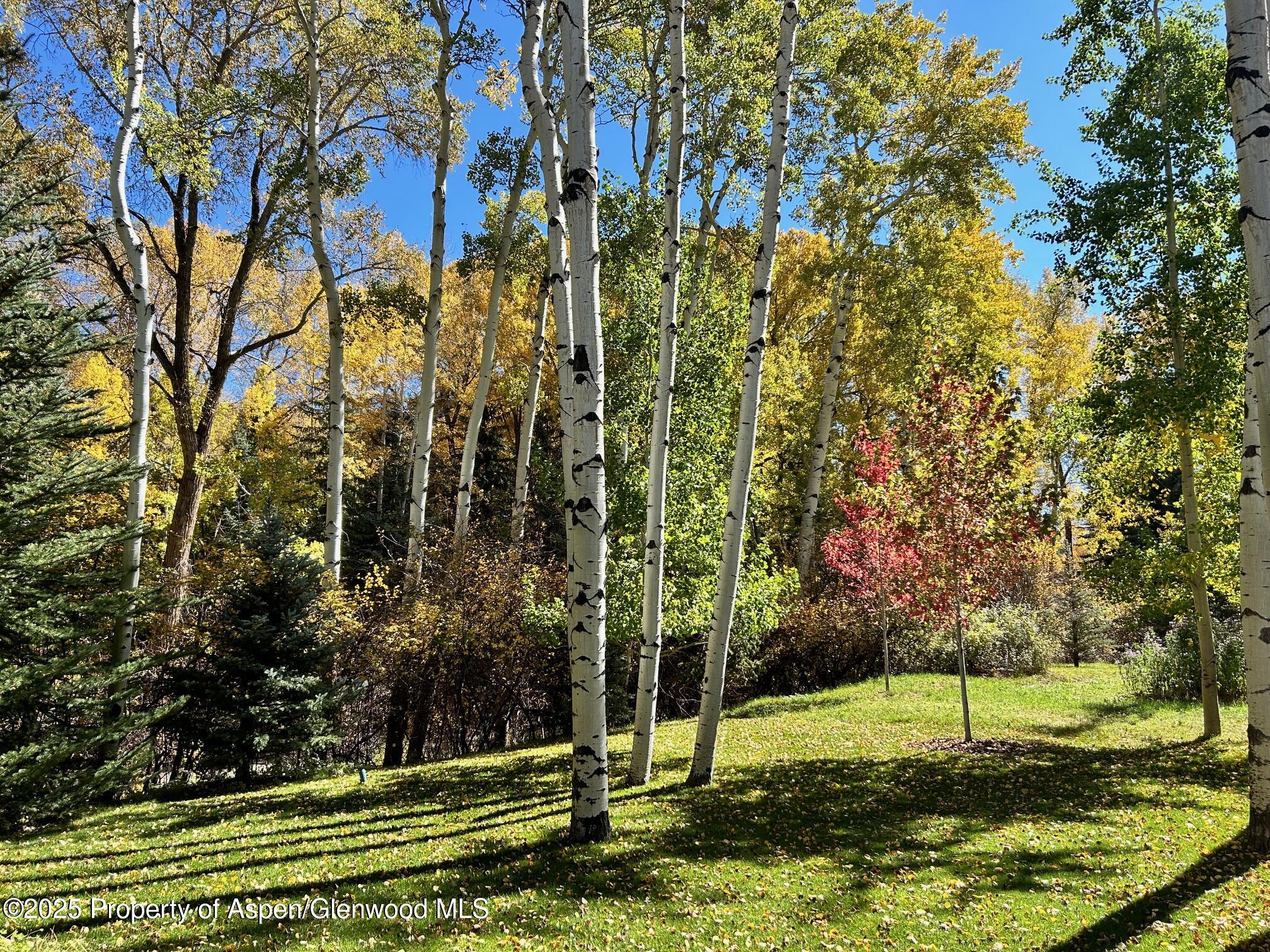 1180 Black Birch Drive