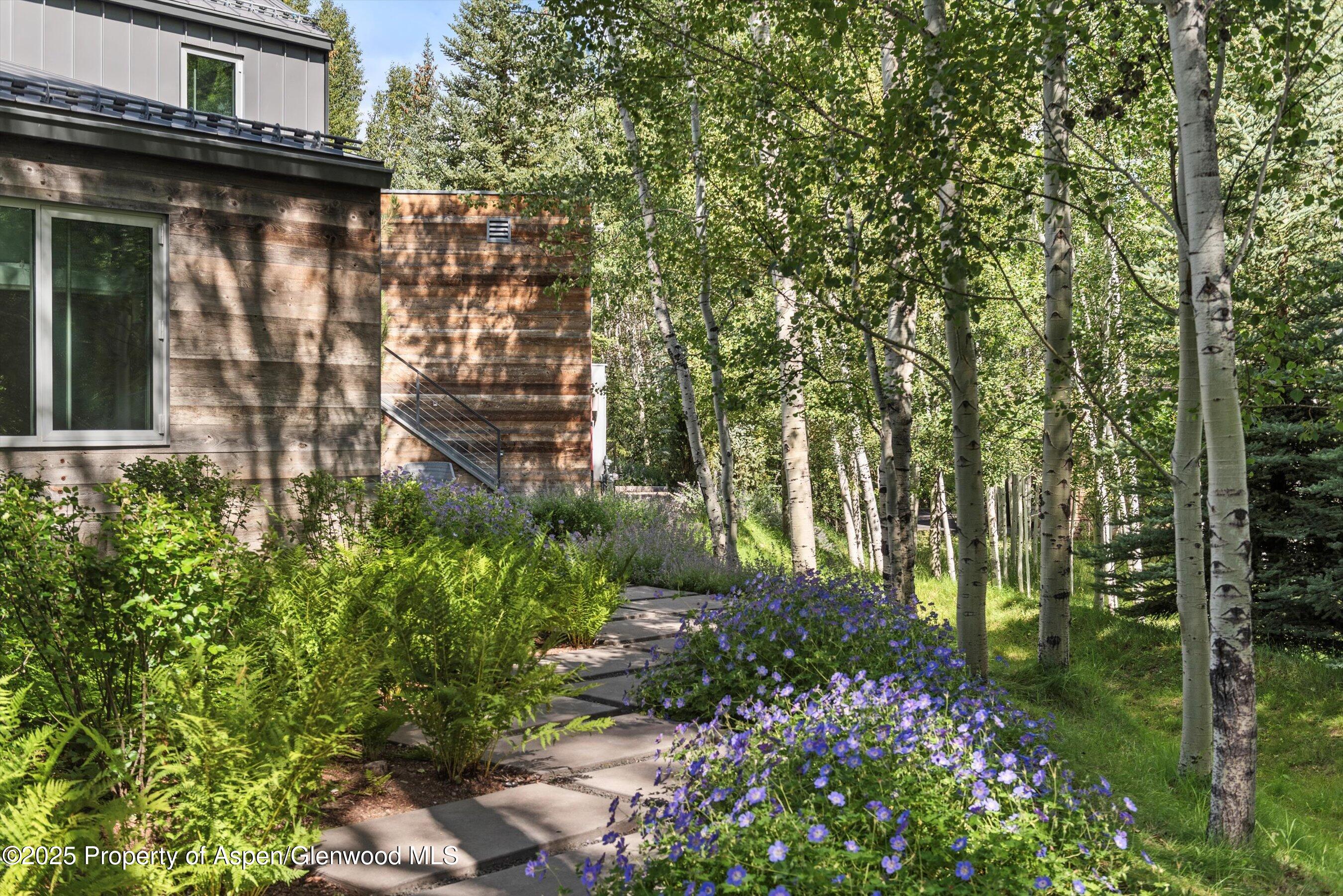 1180 Black Birch Drive