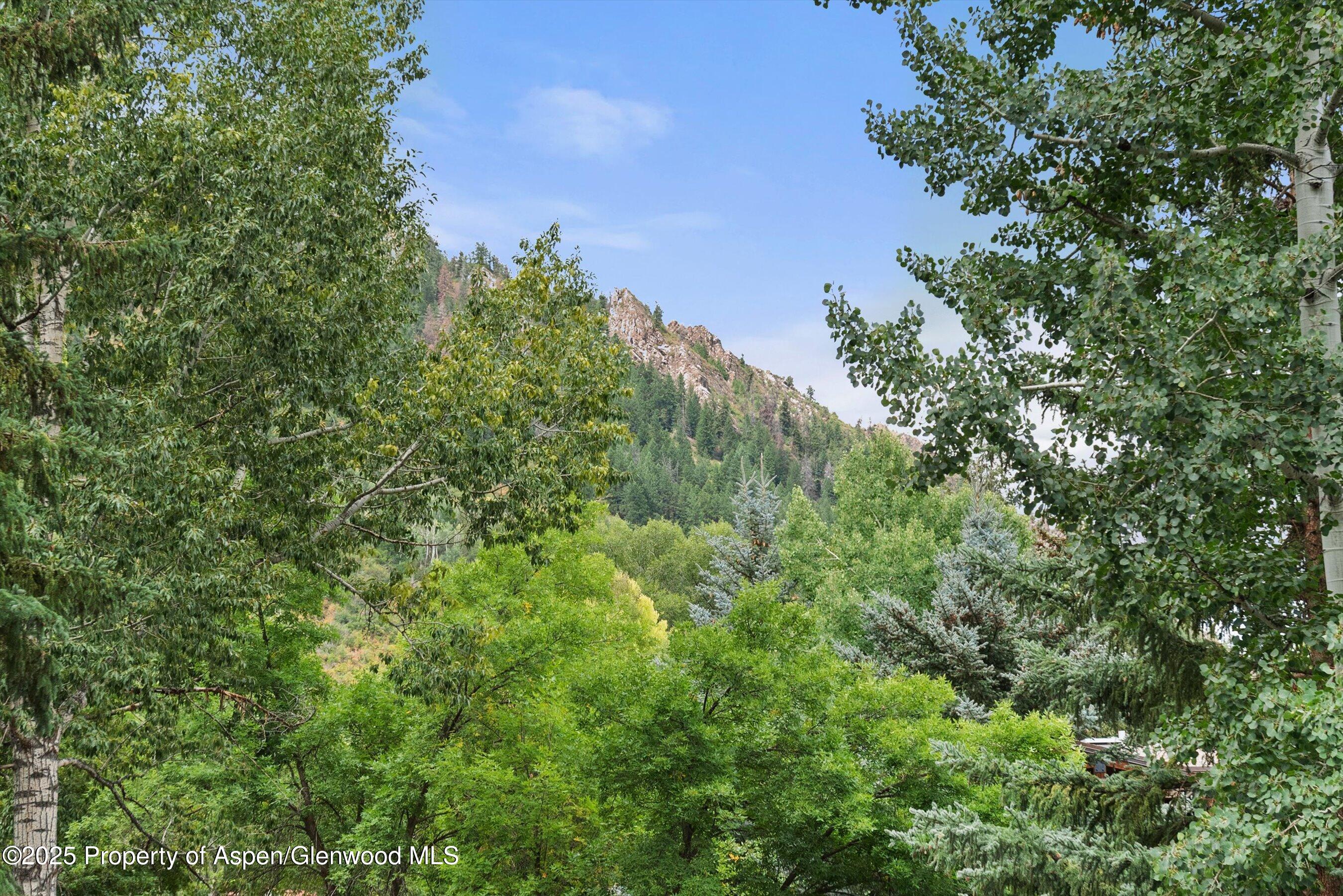 738 S Galena Street 1-C